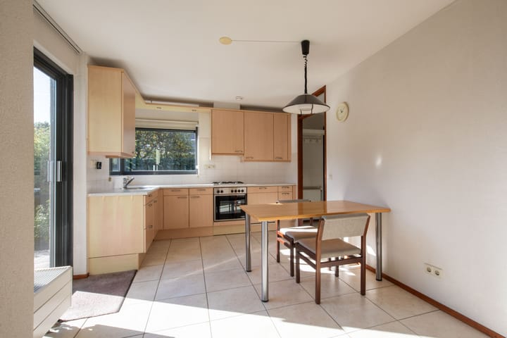 Foto 3 van Zanglijster 4