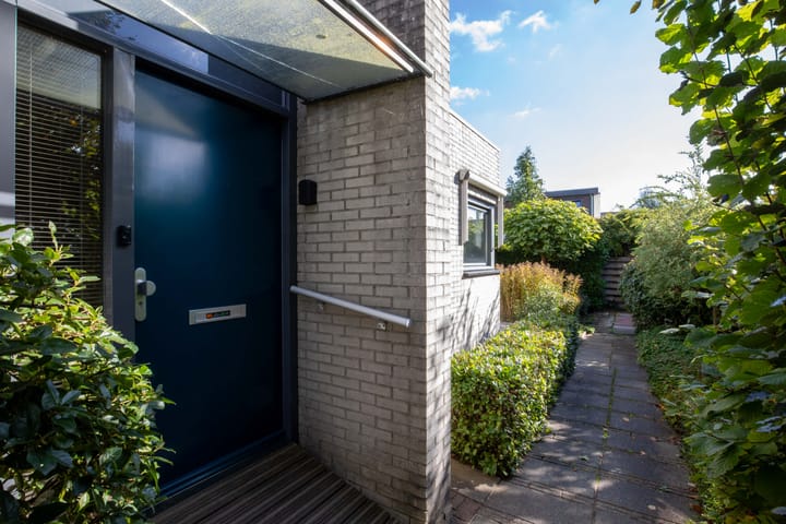 Photo 6 of Zanglijster 4