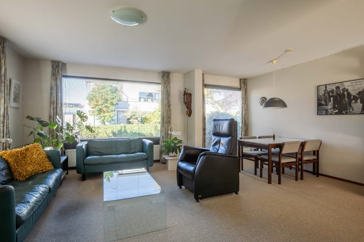 Photo 8 of Zanglijster 4