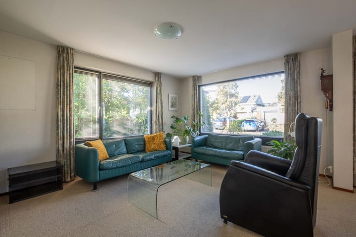 Photo 9 of Zanglijster 4