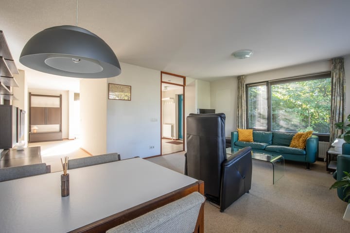 Photo 11 of Zanglijster 4