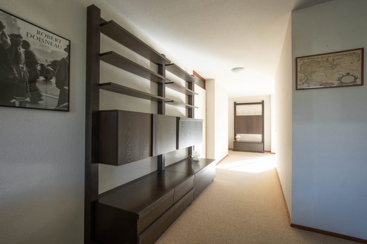 Photo 12 of Zanglijster 4