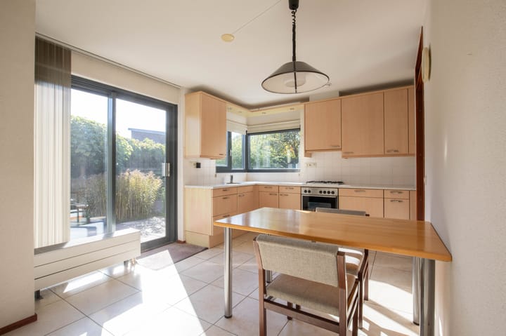 Photo 13 of Zanglijster 4