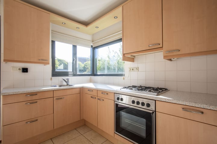 Photo 14 of Zanglijster 4