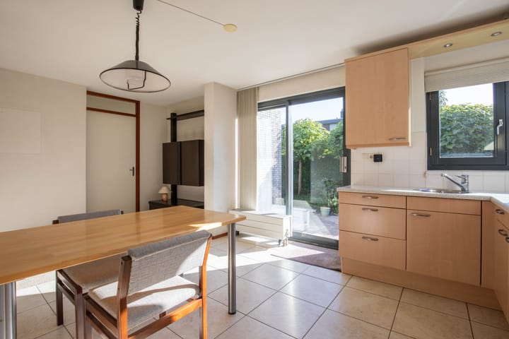 Photo 15 of Zanglijster 4