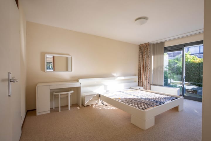 Photo 16 of Zanglijster 4