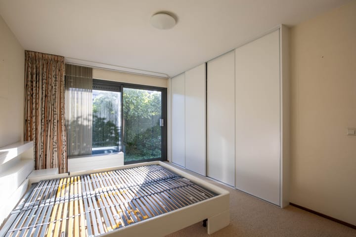 Photo 17 of Zanglijster 4