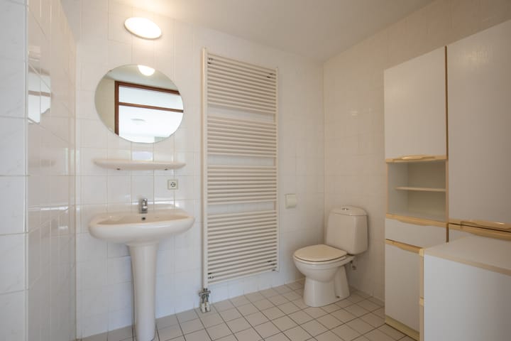 Photo 18 of Zanglijster 4