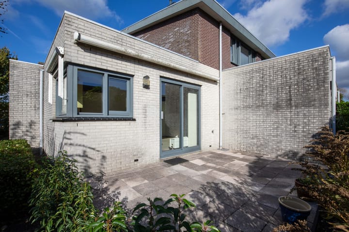 Photo 21 of Zanglijster 4