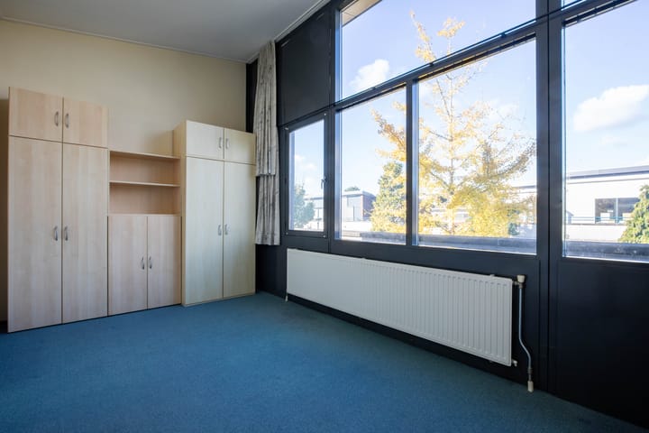 Photo 24 of Zanglijster 4