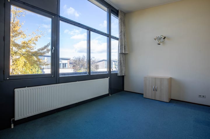 Photo 25 of Zanglijster 4