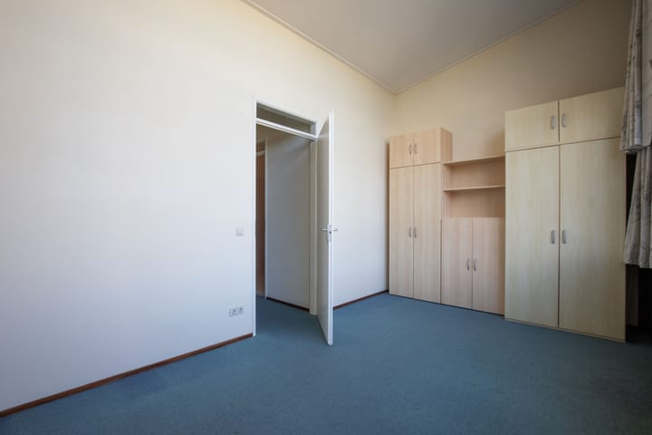 Photo 26 of Zanglijster 4