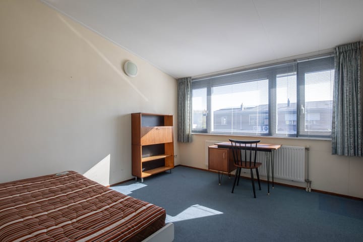 Photo 27 of Zanglijster 4