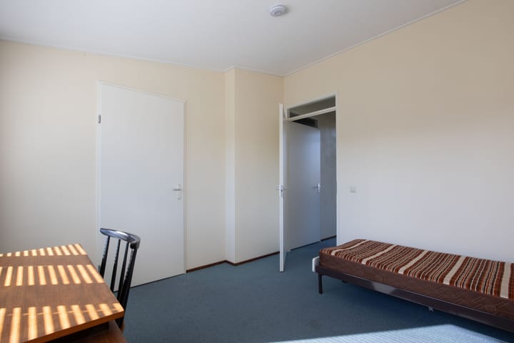 Photo 28 of Zanglijster 4