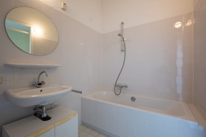 Photo 29 of Zanglijster 4