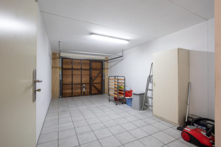 Photo 30 of Zanglijster 4