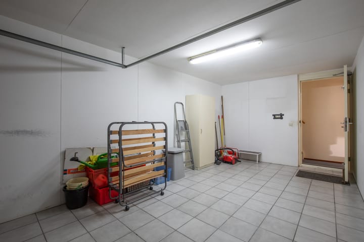 Photo 31 of Zanglijster 4