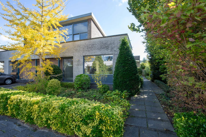 Photo 32 of Zanglijster 4