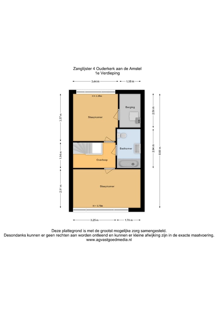 Photo 34 of Zanglijster 4