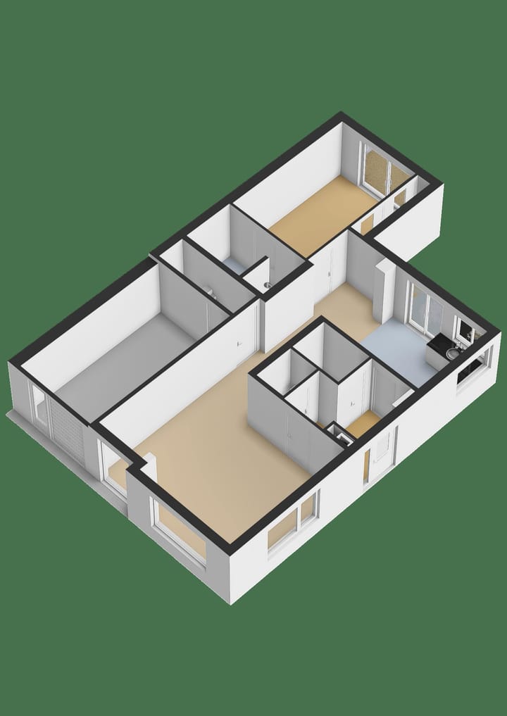 Photo 35 of Zanglijster 4