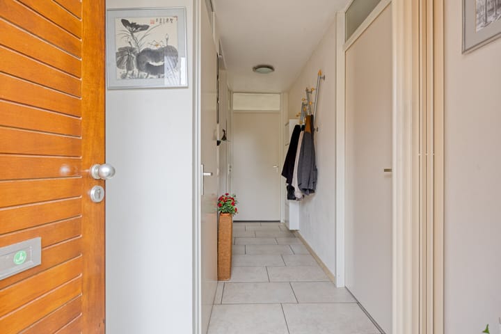 Photo 8 of Zandroos 1