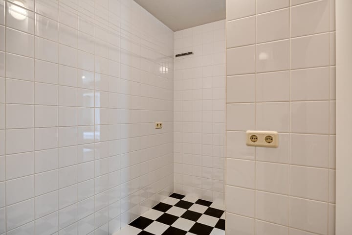 Photo 35 of Zandroos 1