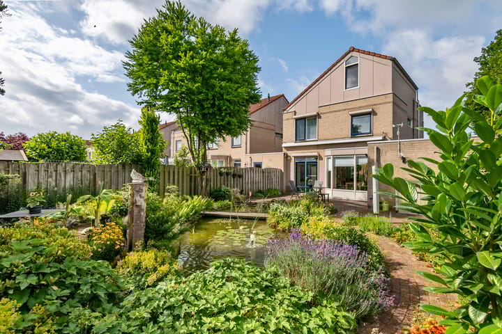 Foto 31 van Ranonkel 16