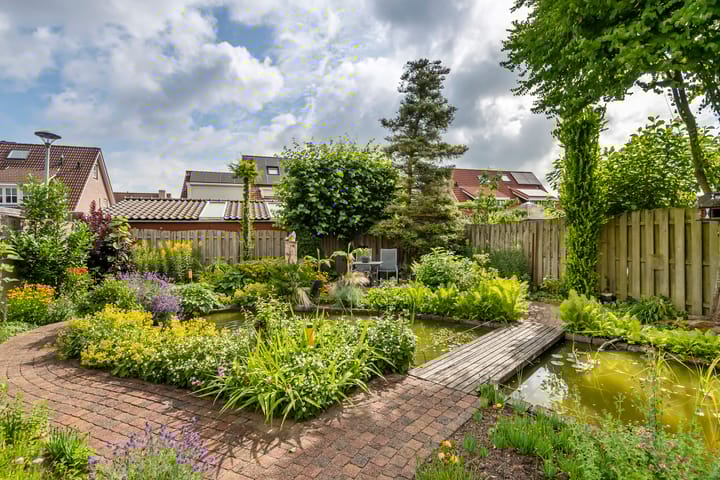 Foto 34 van Ranonkel 16