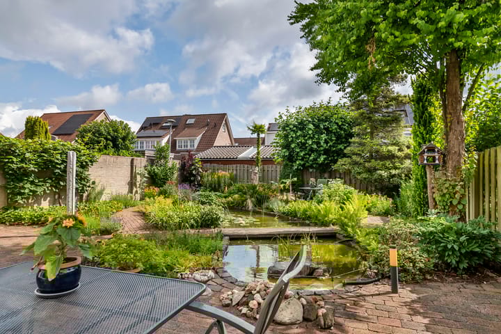 Foto 36 van Ranonkel 16