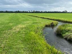 Bekijk foto 3 van Blokland