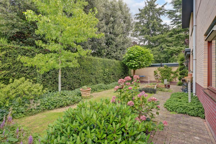 Photo 35 of Josuëlaan 4