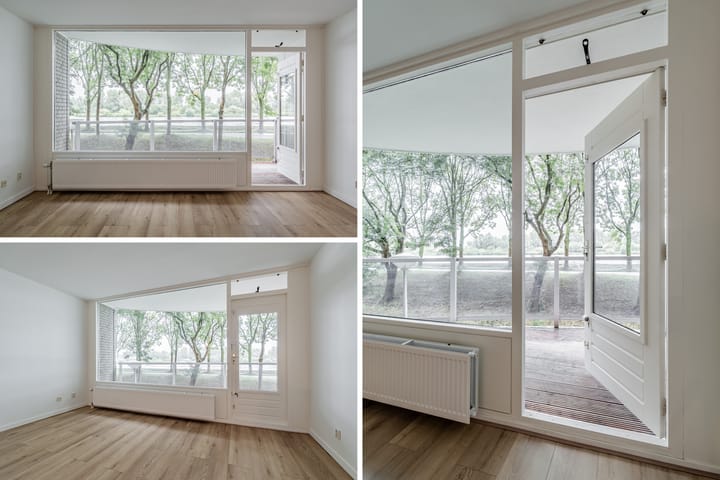 Photo 8 of Zeezigt 120