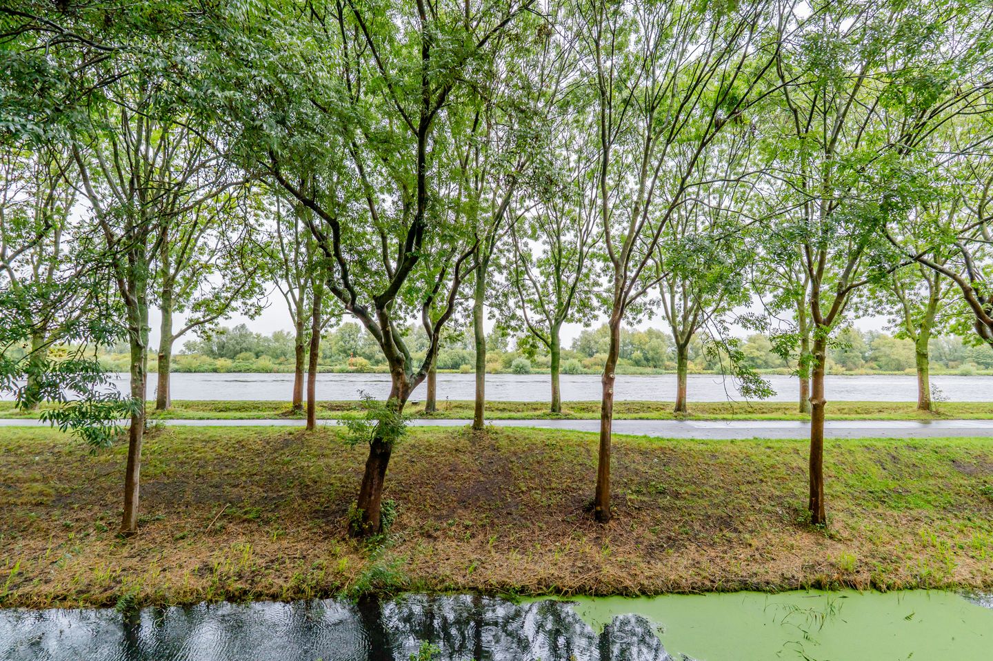 Photo 35 of Zeezigt 120