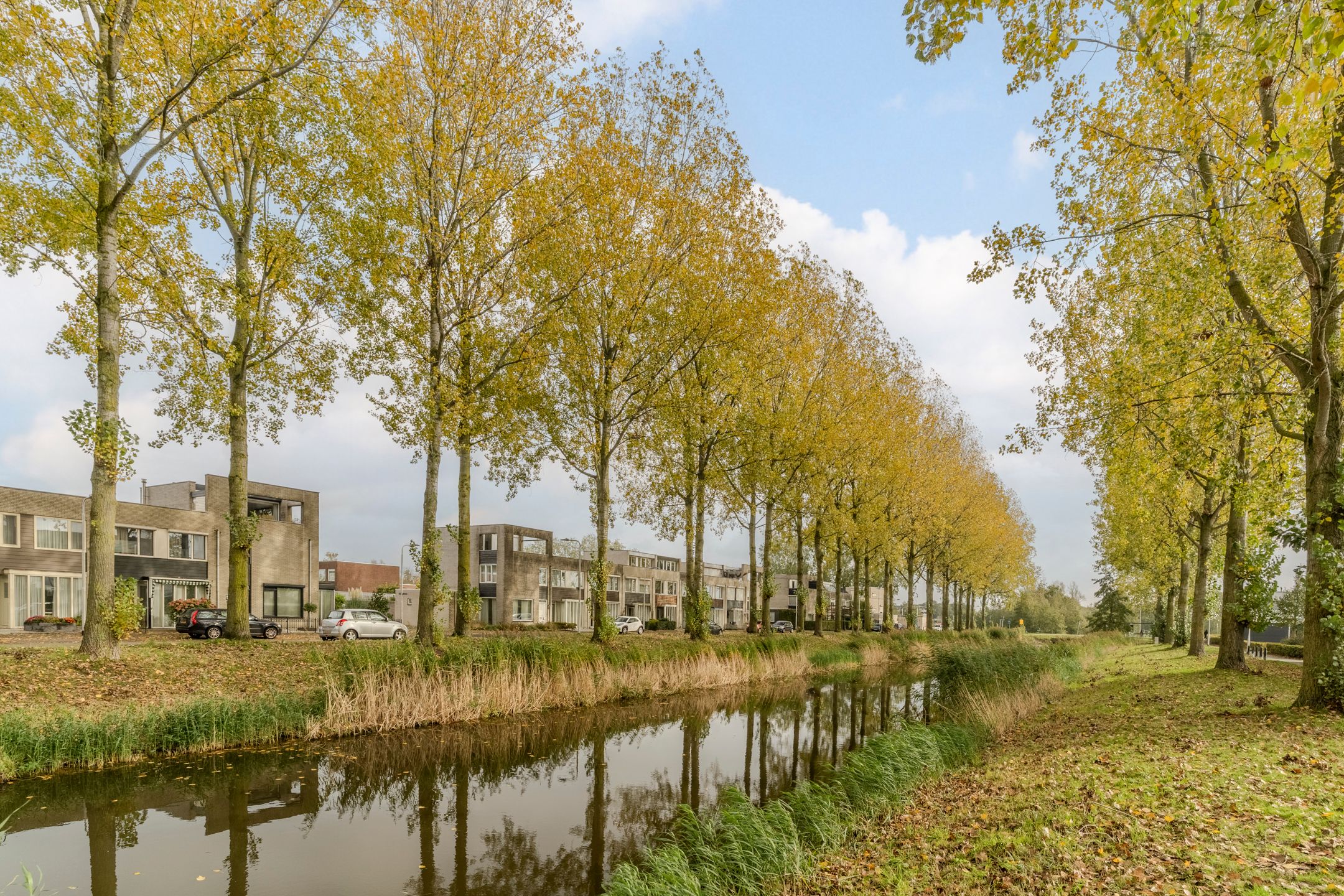 Foto 39 van Schipluidenlaan 67