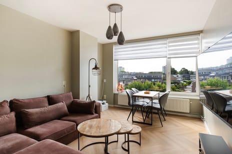 Frans Halslaan thumbnail