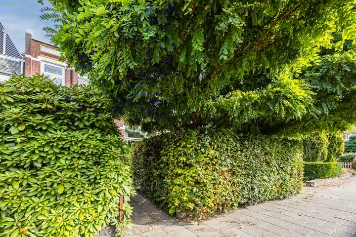 Foto 43 van Bredaseweg 241