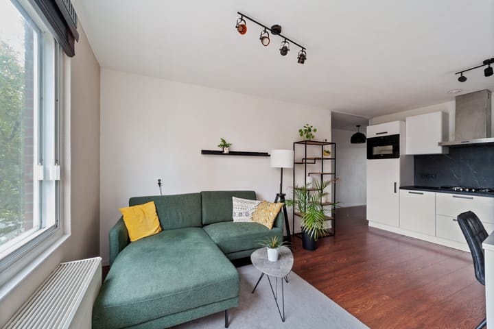 Troelstrakade 895 main image