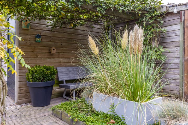 Foto 44 van Hortus 32