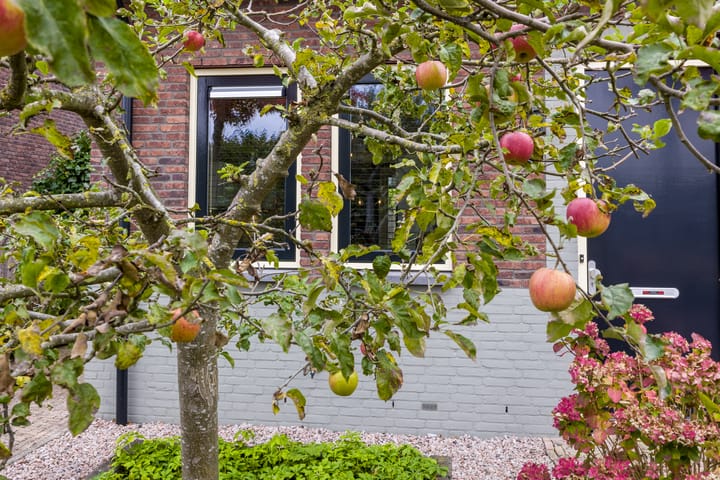 Foto 53 van Hortus 32