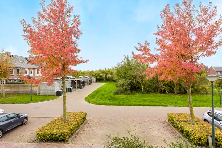 Foto 57 van Hortus 32