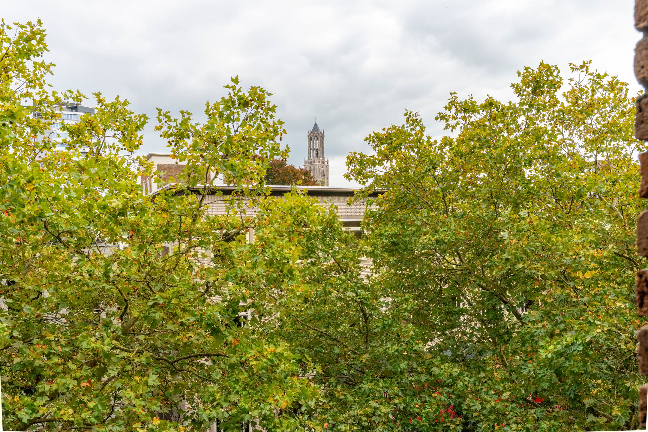 Foto 21 van Vredenburg 64