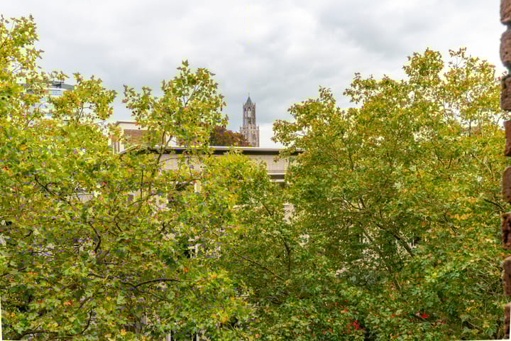 Foto 21 van Vredenburg 64