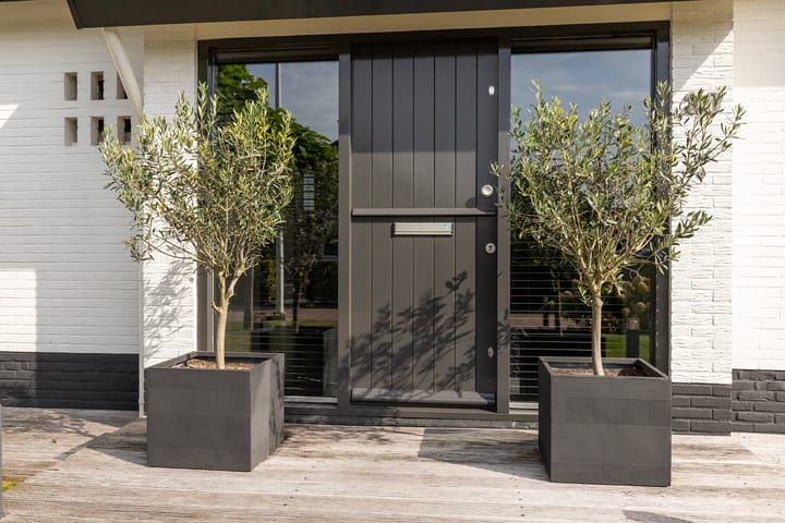 Photo 6 of Zijlroede 30