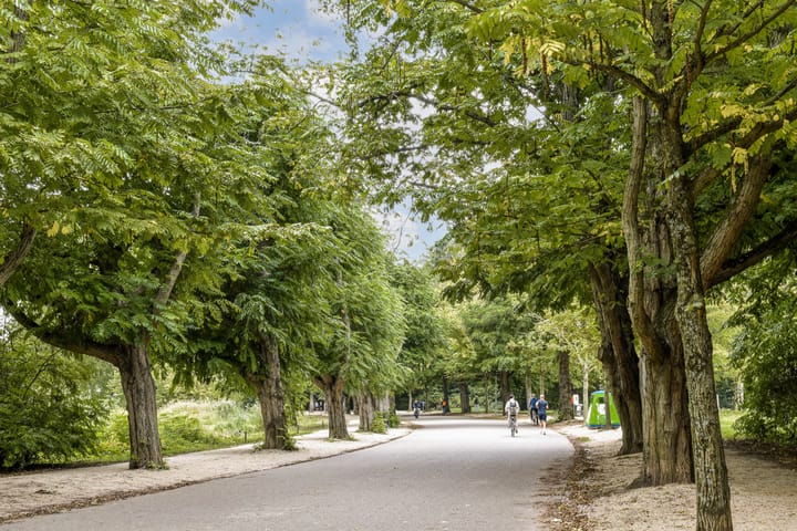 Foto 24 van Amstelveenseweg 196-2