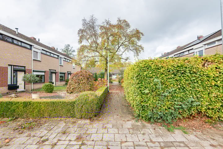 Foto 40 van De Tol 61