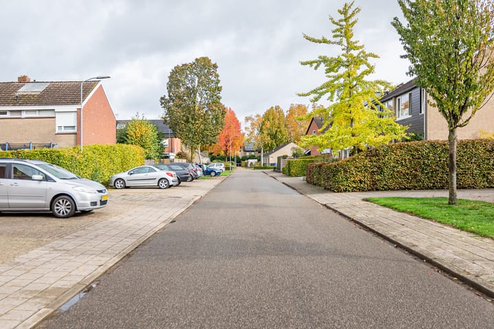 Foto 41 van De Tol 61