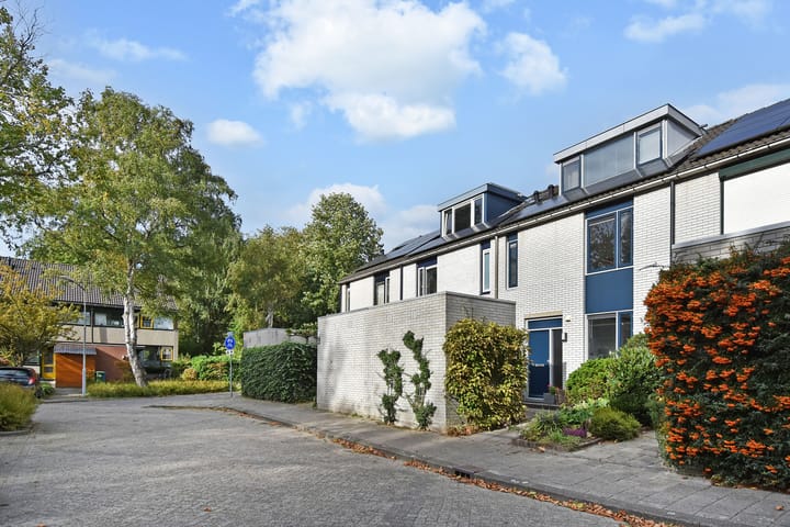 Foto 2 van de Zwaan 36