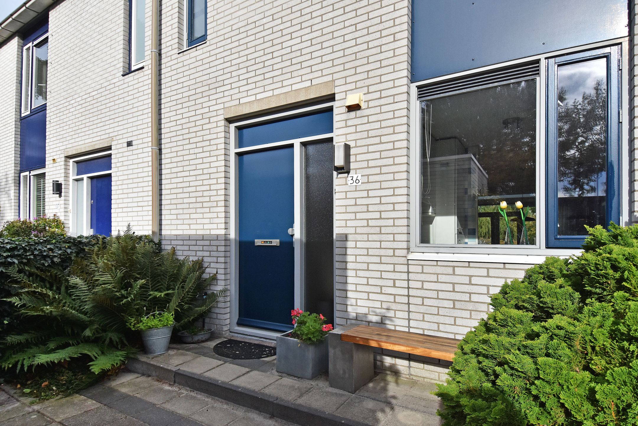 Foto 3 van de Zwaan 36