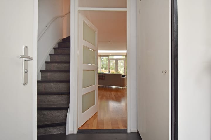 Foto 5 van de Zwaan 36