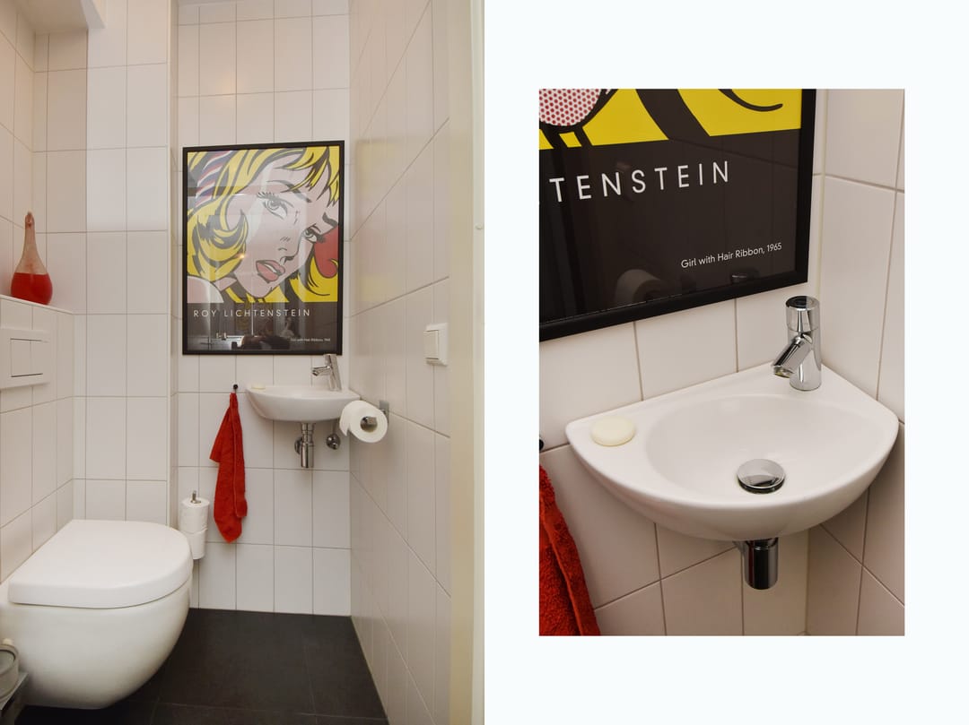 Foto 7 van de Zwaan 36